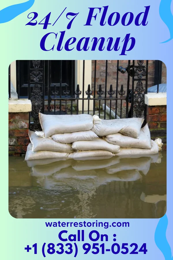 24/7 Flood Cleanup in Island Heights, NJ
