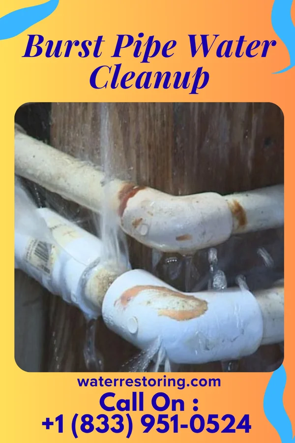 Burst Pipe Water Cleanup in Island Heights, NJ