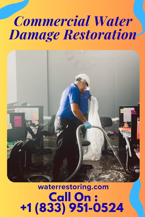 Commercial Water Damage Restoration in Island Heights, NJ