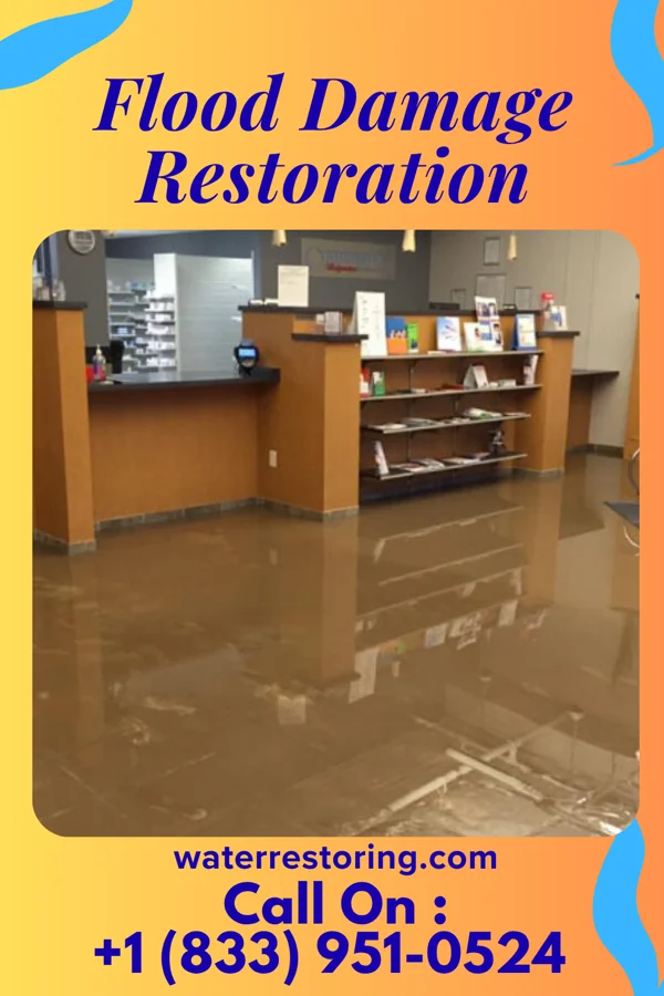 Flood Damage Restoration in Island Heights, NJ
