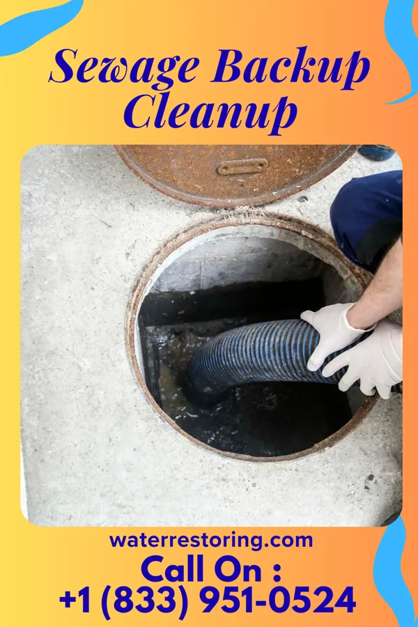 Sewage Backup Cleanup in Island Heights, NJ